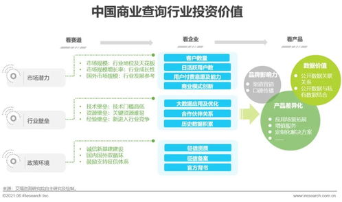 2021年中国商业查询发展研究报告